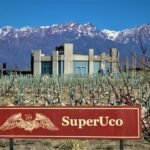 Liderazgo que escucha a Dios – Viña Super UCO: Entrevista a Liliana y Gabriel Michelini.
